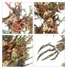 Battleforce - Sylvaneth – Strongroot Grove
